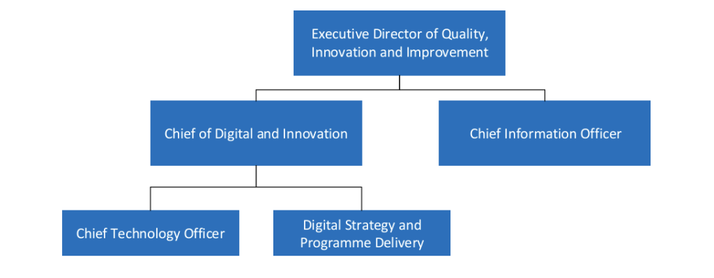 Digital Leadership structure