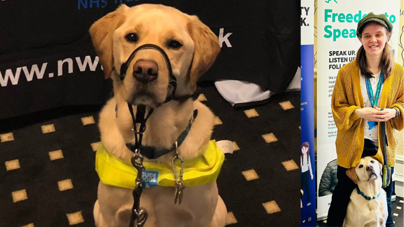 Guide dog Sean wearing his harness with his owner Fran.